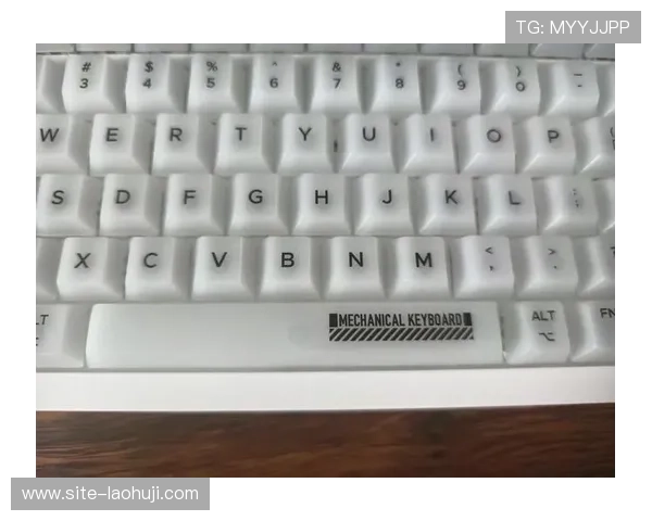 ttc键盘官网用户评价与使用体验分享，真实反馈帮助你做出购买决策