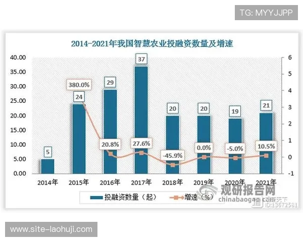 pp王者电子品牌发展历程及未来发展方向深度分析与行业影响力探讨 pp王者电子品牌发展历程及未来发展方向深度分析与行业影响力探讨