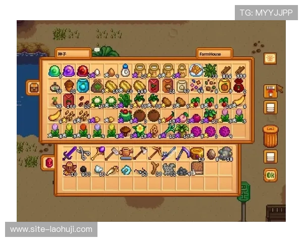 星露谷物语沙漠商店二楼老虎机的常见问题解答与实用建议