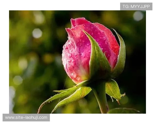 单机水果老虎机大满贯如何快速获得大满贯奖励的实用技巧与攻略